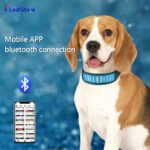 LED-Hundehalsband Glow in the Dark Light Up Leucht-Hundehalsband Waterproof Rechargeable Lighted LED Pet Safety Collar