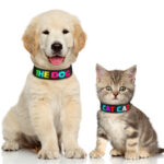 LED Dog Collar Glow in the Dark Light Up Luminous Dog Collar Waterproof Rechargeable Lighted LED Pet Safety Collar